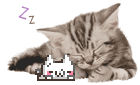 cat peacefully sleeping next to a nuko cat pixel. also sleeping