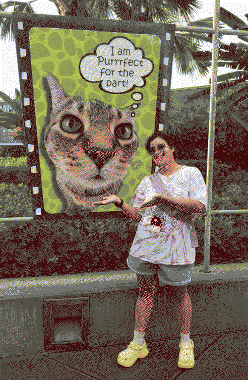 i am purrfect for the part cat portrait