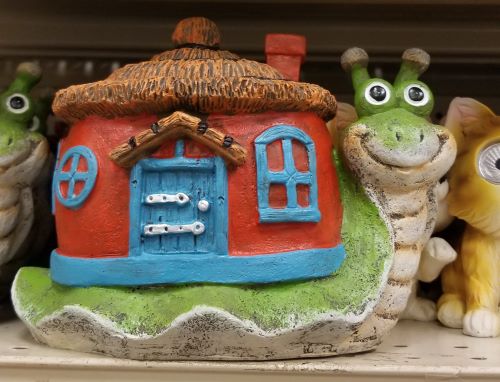 home snail?