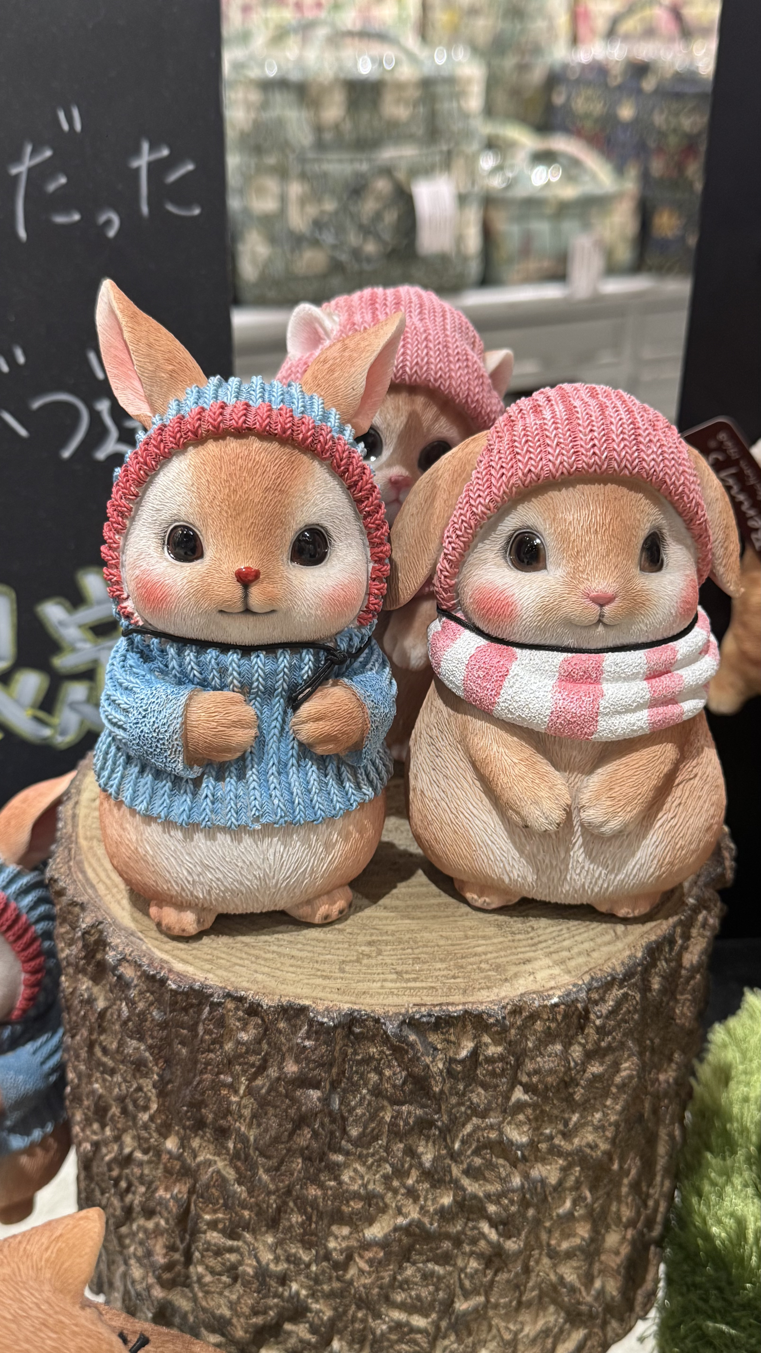 instant picture from my florida trip