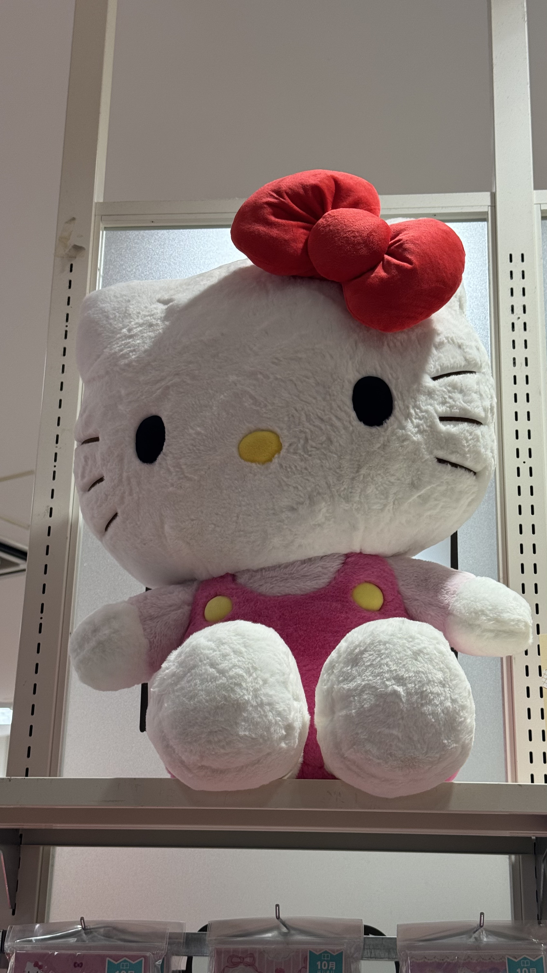 florida trip pictures from my 3ds