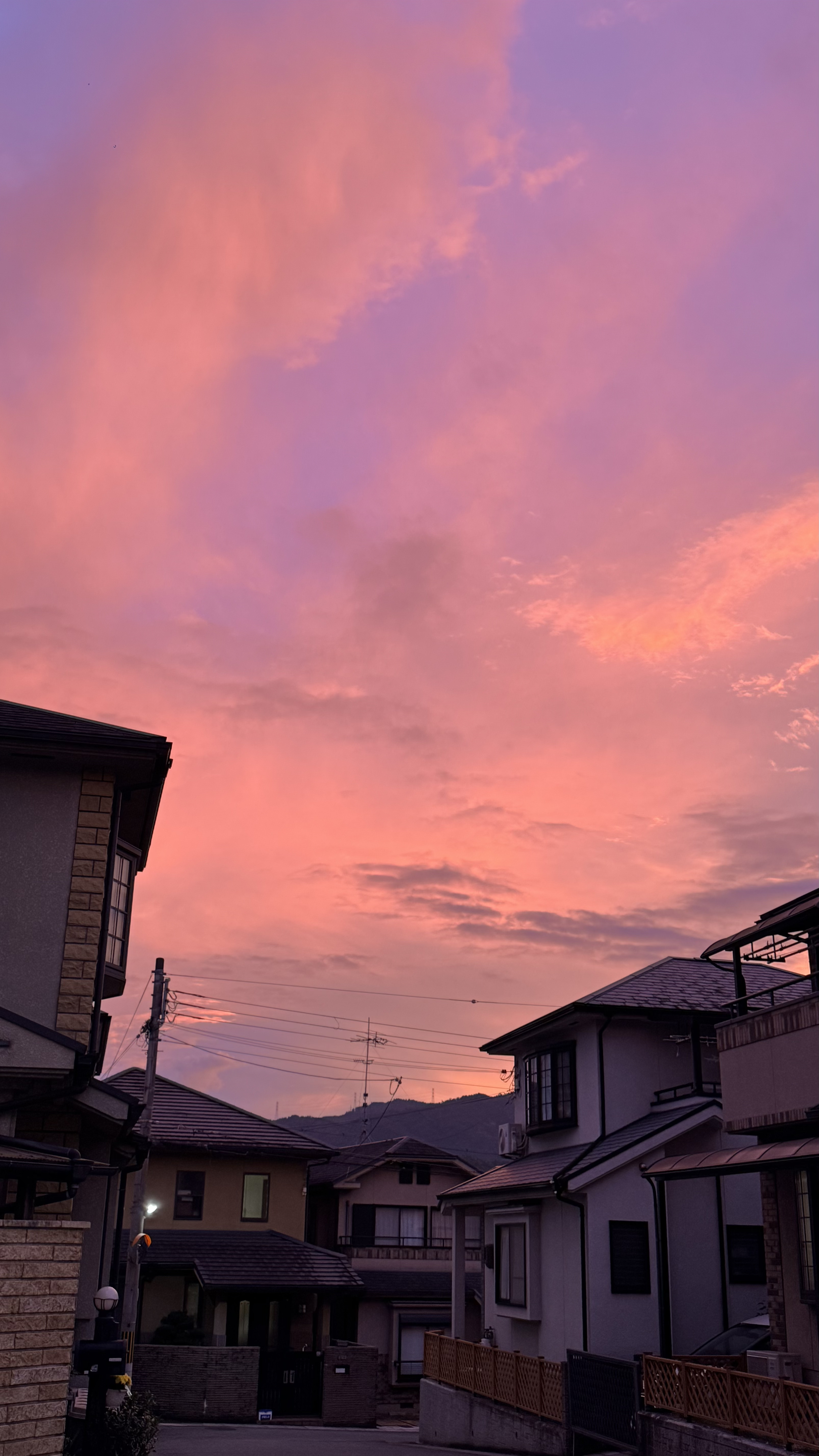 phone pics from florida