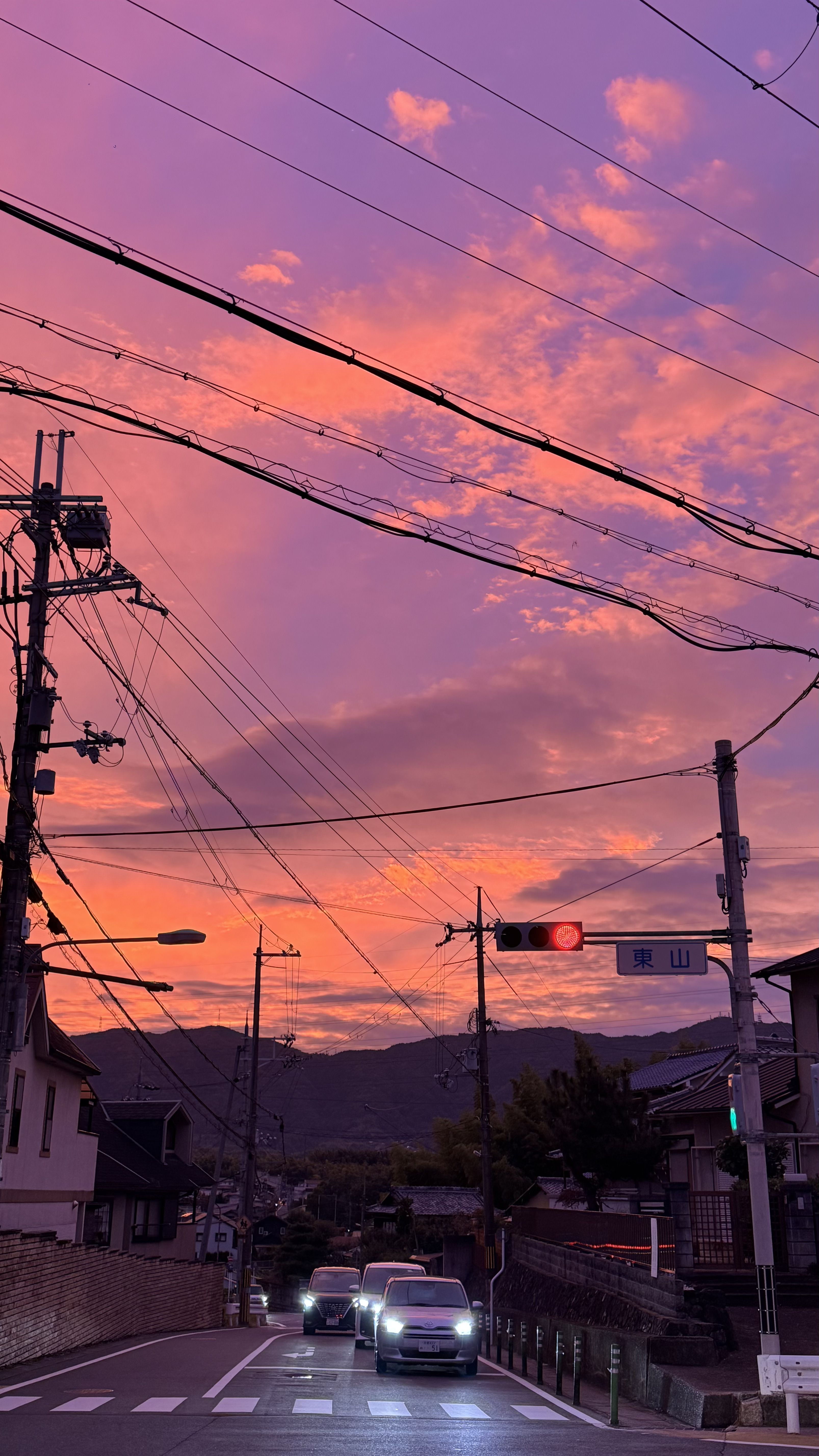 phone pics from florida